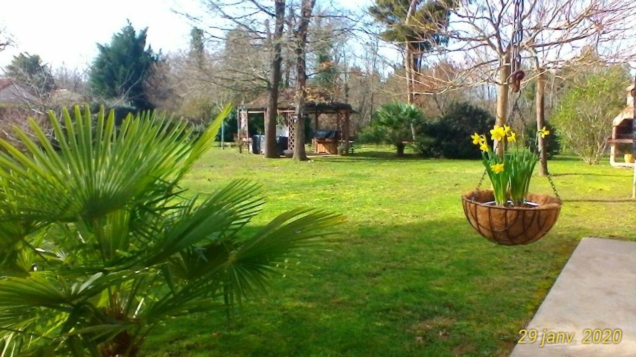 Le Clos des Palombes Saint-Pierre-du-Mont  Exterior foto