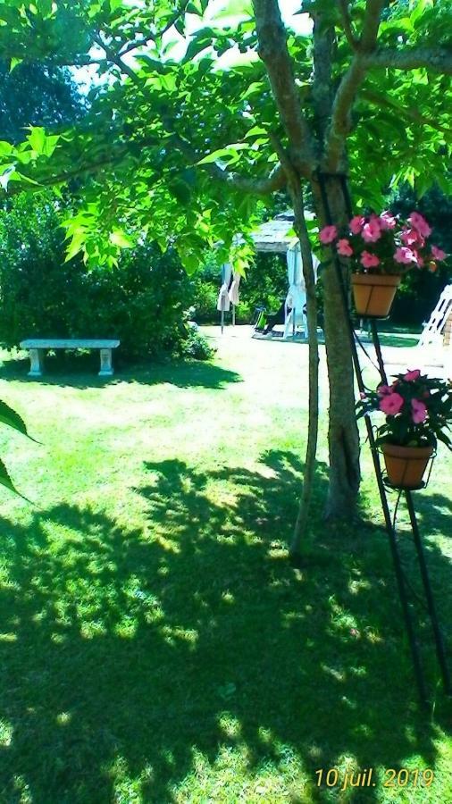 Le Clos des Palombes Saint-Pierre-du-Mont  Exterior foto